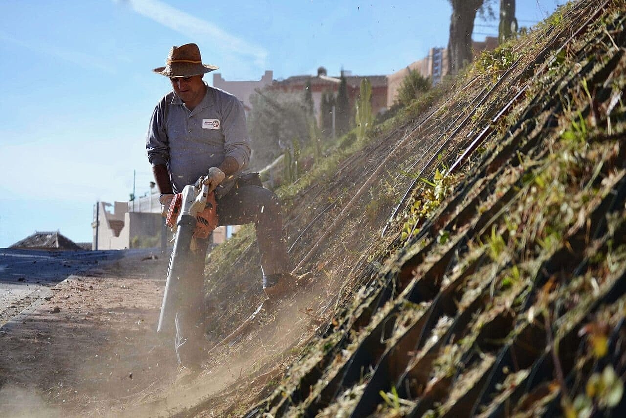 mantenimiento-de-comunidades-jardines