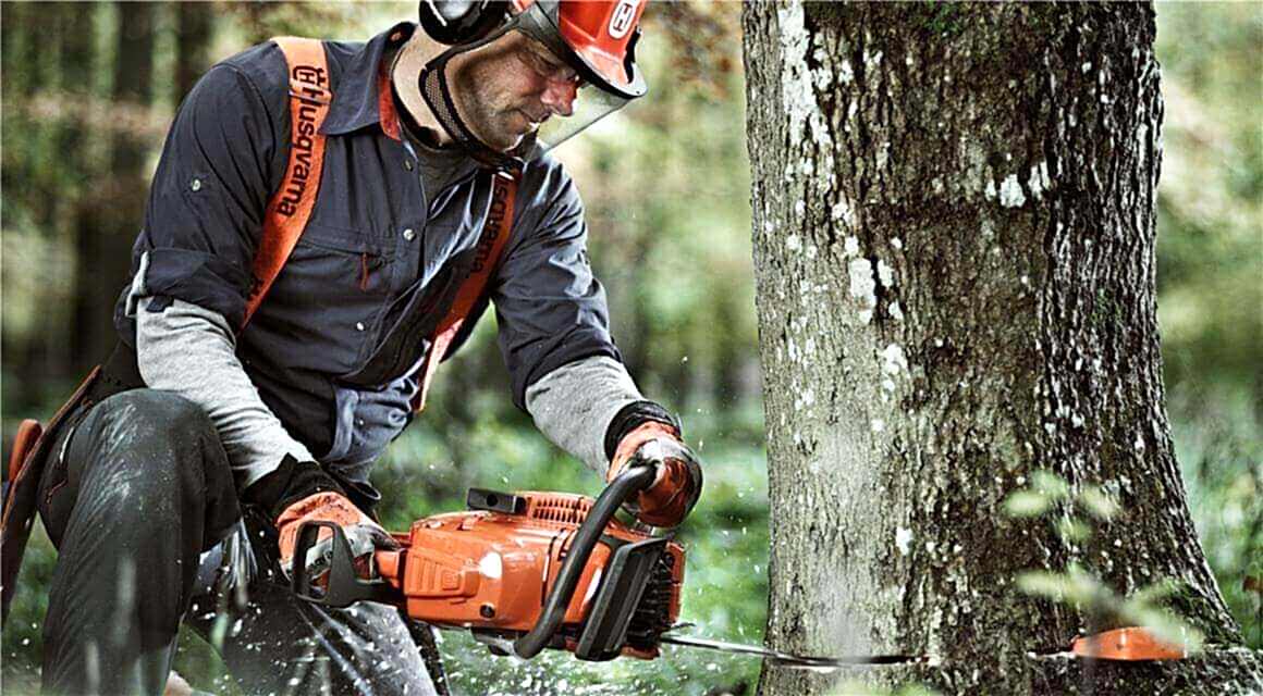 consejos sobre cómo talar un árbol inclinado