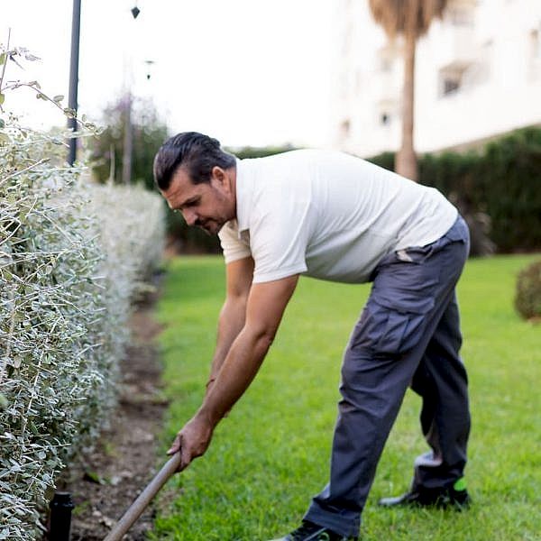 mantenimiento de zonas verdes y jardines