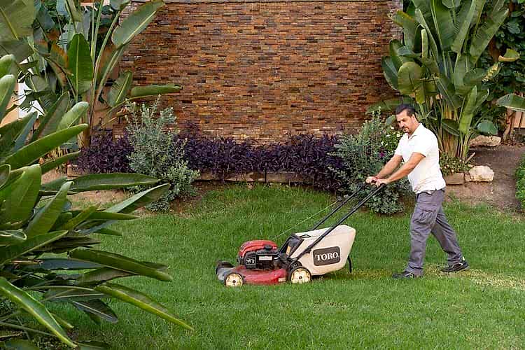 mantenimiento de jardines y zonas verdes