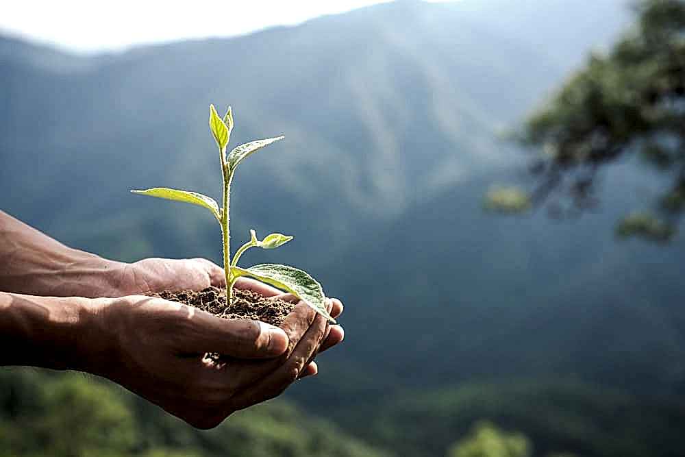 como contribuir con el medio ambiente