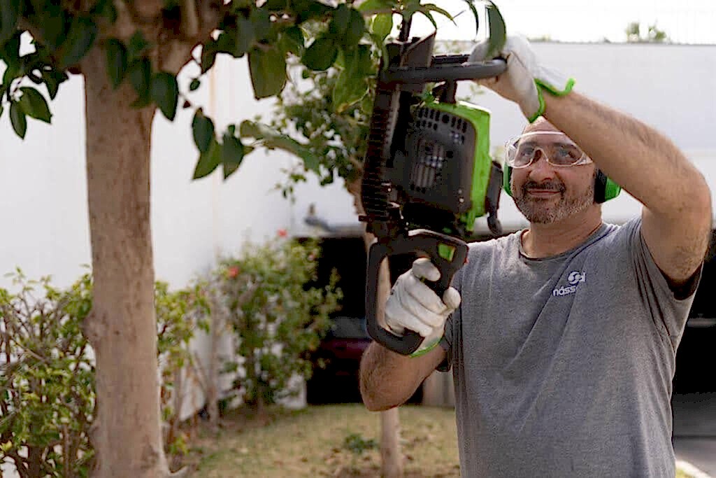 como podar un arbol y controlar su crecimiento